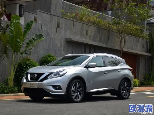 日产国产亚洲A：解析其设计理念、市场定位与未来发展趋势，及对消费者需求的深度回应与创新技术的应用