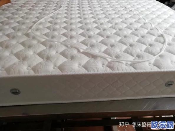 办公室可不可以干湿你的床垫？了解在工作环境中如何处理床垫的清洁与保养问题，确保健康和舒适